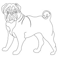 pug 001